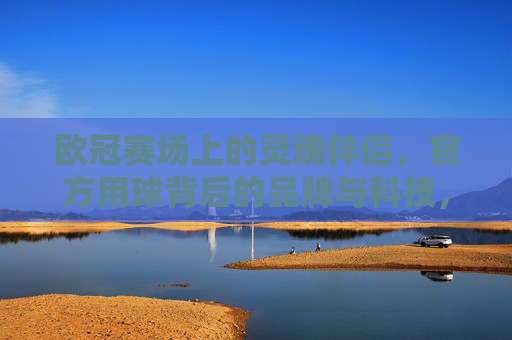 欧冠赛场上的灵魂伴侣,官方用球背后的品牌与科技,欧冠官方用球,品牌与科技的灵魂伴侣