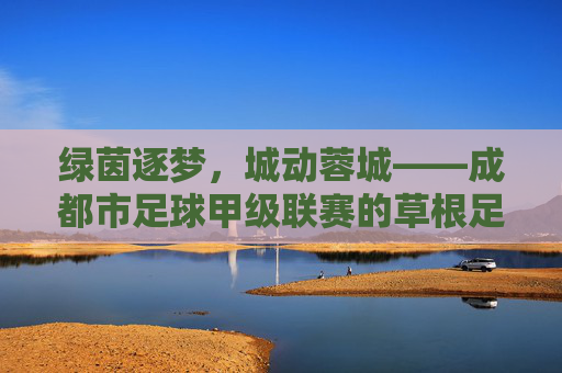 绿茵逐梦,城动蓉城——成都市足球甲级联赛的草根足球热,蓉城草根足球热,绿茵逐梦,城动全城