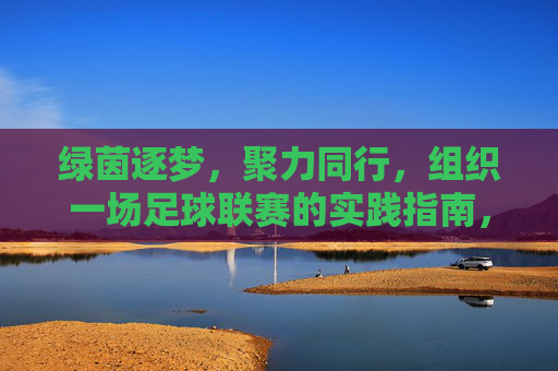绿茵逐梦,聚力同行,组织一场足球联赛的实践指南,绿茵逐梦,聚力同行,足球联赛实践指南
