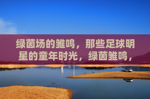 绿茵场的雏鸣,那些足球明星的童年时光,绿茵雏鸣,足球巨星的童年序章