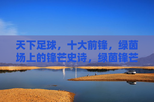 天下足球，十大前锋，绿茵场上的锋芒史诗，绿茵锋芒史诗，天下足球十大前锋