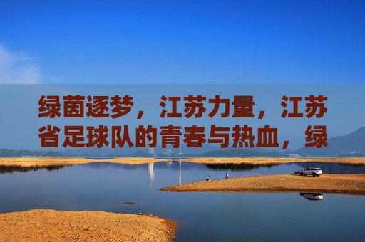 绿茵逐梦，江苏力量，江苏省足球队的青春与热血，绿茵逐梦，江苏足球队的青春热血力量