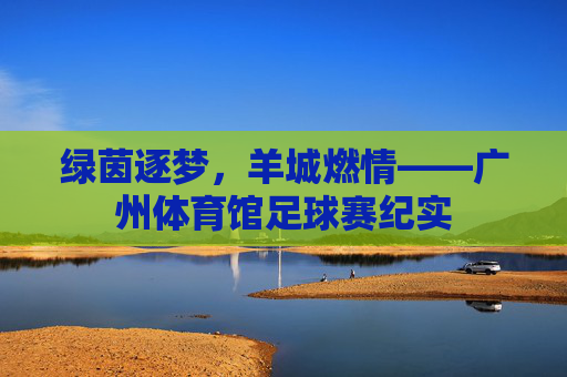 绿茵逐梦,羊城燃情——广州体育馆足球赛纪实