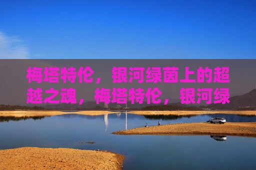 梅塔特伦,银河绿茵上的超越之魂,梅塔特伦,银河绿茵的超越之魂