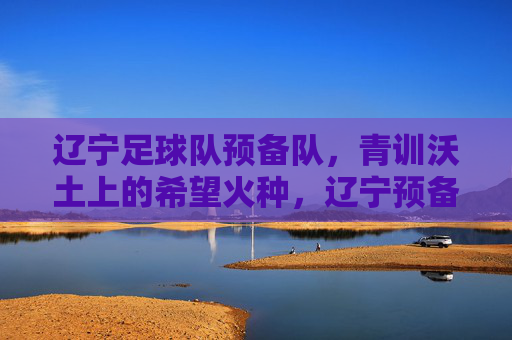 辽宁足球队预备队,青训沃土上的希望火种,辽宁预备队,青训沃土的希望火种