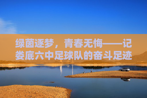 绿茵逐梦，青春无悔——记娄底六中足球队的奋斗足迹，绿茵逐梦，青春无悔——娄底六中足球队奋斗足迹