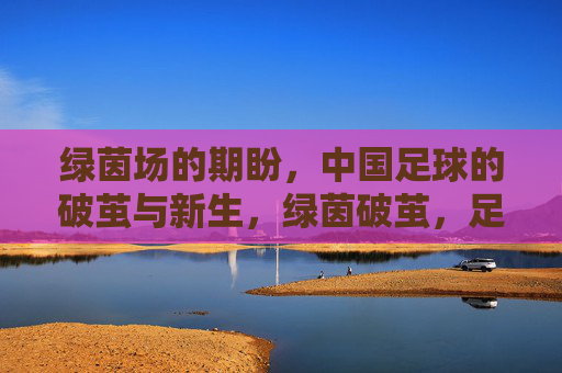 绿茵场的期盼,中国足球的破茧与新生,绿茵破茧,足球新生