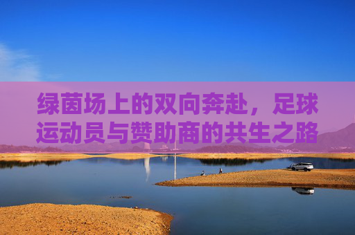 绿茵场上的双向奔赴，足球运动员与赞助商的共生之路，绿茵共生，足球与赞助的双向奔赴