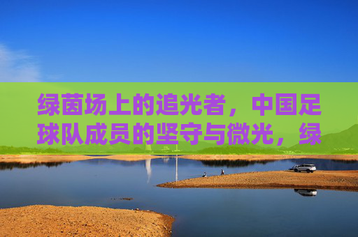绿茵场上的追光者,中国足球队成员的坚守与微光,绿茵追光,中国足球的坚守与微光