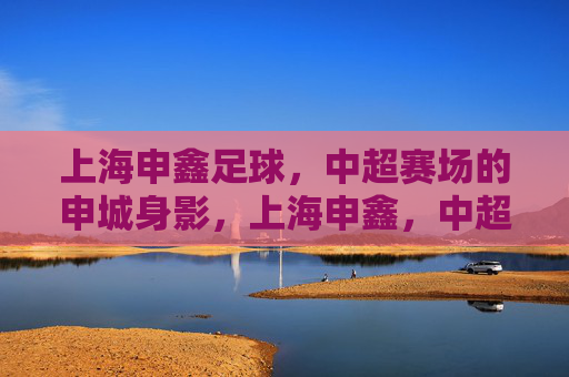 上海申鑫足球,中超赛场的申城身影,上海申鑫,中超赛场的申城身影
