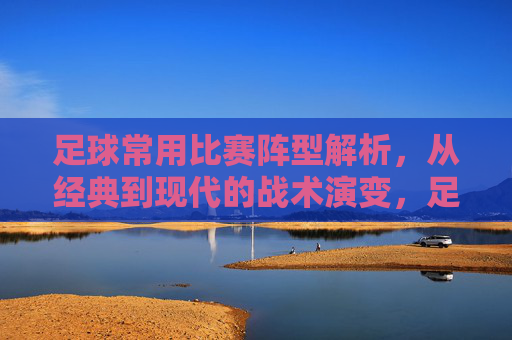 足球常用比赛阵型解析,从经典到现代的战术演变,足球常用阵型战术演变,从经典到现代