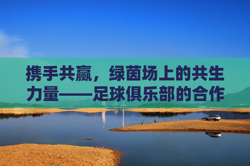 携手共赢，绿茵场上的共生力量——足球俱乐部的合作伙伴战略，携手共赢，绿茵场上的共生力量——足球俱乐部的合作伙伴战略