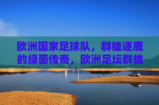 欧洲国家足球队,群雄逐鹿的绿茵传奇,欧洲足坛群雄逐鹿的绿茵传奇