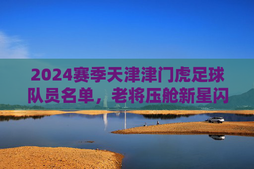 2024赛季天津津门虎足球队员名单，老将压舱新星闪耀，津门足球再启征程，2024赛季天津津门虎，老将压舱新星闪耀，征程再启