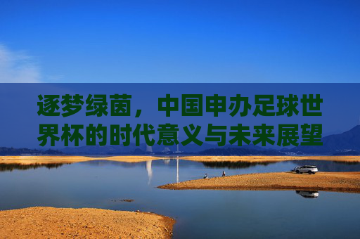 逐梦绿茵，中国申办足球世界杯的时代意义与未来展望，逐梦绿茵，中国申办足球世界杯的时代意义与未来展望