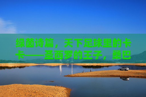 绿茵诗篇,天下足球里的卡卡——圣西罗的王子,桑巴的精灵,圣西罗王子,桑巴精灵,卡卡的绿茵诗篇