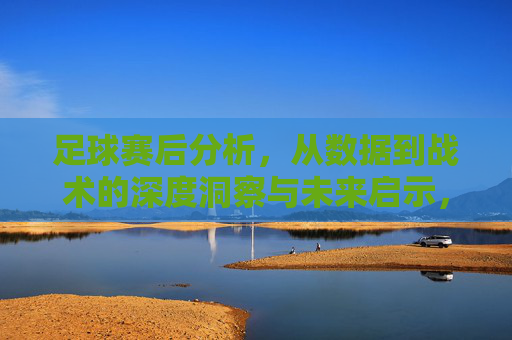 足球赛后分析，从数据到战术的深度洞察与未来启示，足球赛后分析，数据战术的深度洞察与未来启示