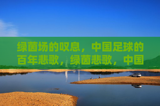 绿茵场的叹息,中国足球的百年悲歌,绿茵悲歌,中国足球百年叹息