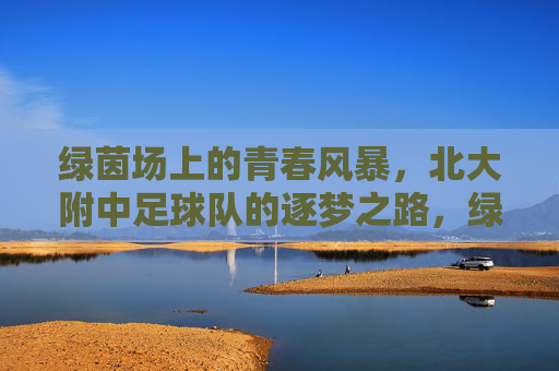 绿茵场上的青春风暴，北大附中足球队的逐梦之路，绿茵逐梦风暴，北大附中足球队的青春之路