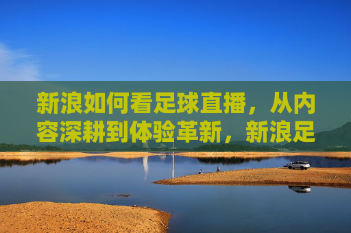 新浪如何看足球直播,从内容深耕到体验革新,新浪足球直播,深耕内容,革新体验