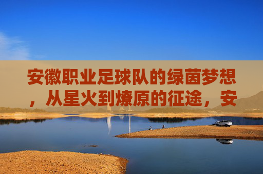 安徽职业足球队的绿茵梦想,从星火到燎原的征途,安徽足球,从星火到燎原的绿茵征途