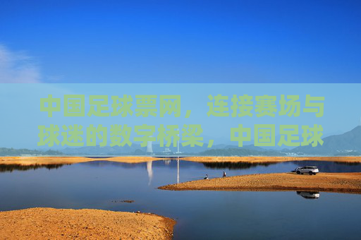 中国足球票网，连接赛场与球迷的数字桥梁，中国足球票网，赛场与球迷的数字桥梁