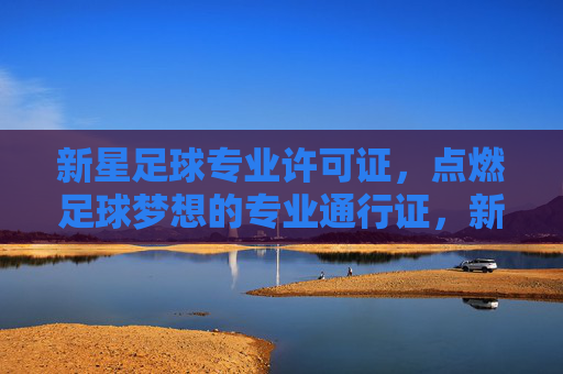 新星足球专业许可证,点燃足球梦想的专业通行证,新星足球专业许可证,点燃足球梦想的专业通行证