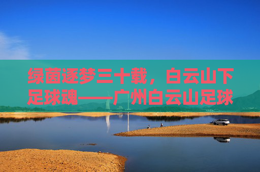 绿茵逐梦三十载,白云山下足球魂——广州白云山足球俱乐部的发展与传承,广州白云山足球俱乐部,三十载逐梦与足球魂传承