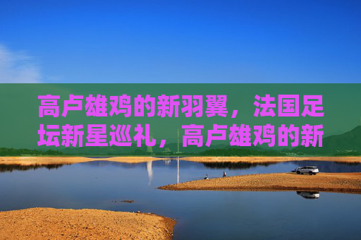 高卢雄鸡的新羽翼，法国足坛新星巡礼，高卢雄鸡的新羽翼
