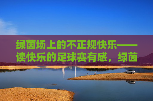 绿茵场上的不正规快乐——读快乐的足球赛有感,绿茵场上的不正规快乐