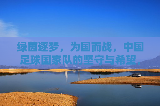 绿茵逐梦,为国而战,中国足球国家队的坚守与希望,绿茵逐梦为国而战,中国足球的坚守与希望
