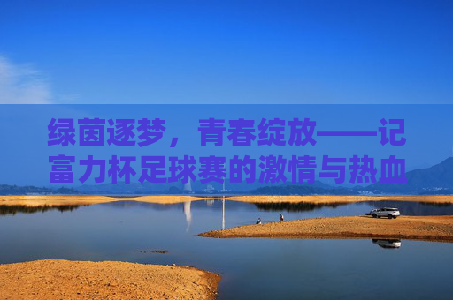 绿茵逐梦，青春绽放——记富力杯足球赛的激情与热血，绿茵逐梦，青春热血——富力杯足球赛激情绽放
