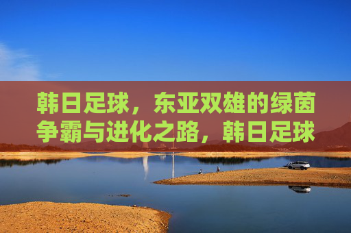 韩日足球,东亚双雄的绿茵争霸与进化之路,韩日足球,东亚双雄的绿茵争霸进化之路