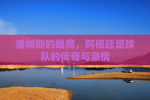 潘帕斯的雄鹰,阿根廷足球队的传奇与激情