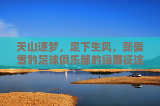 天山逐梦,足下生风,新疆雪豹足球俱乐部的绿茵征途,天山逐梦·新疆雪豹绿茵征途