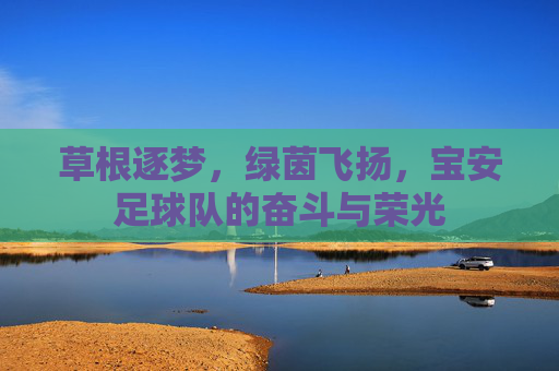 草根逐梦,绿茵飞扬,宝安足球队的奋斗与荣光