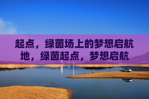 起点，绿茵场上的梦想启航地，绿茵起点，梦想启航