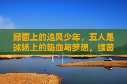 绿茵上的追风少年，五人足球场上的热血与梦想，绿茵追风少年，五人场上的热血与梦想