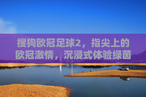 搜狗欧冠足球2,指尖上的欧冠激情,沉浸式体验绿茵战场