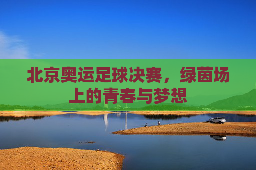 北京奥运足球决赛,绿茵场上的青春与梦想