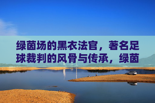绿茵场的黑衣法官，著名足球裁判的风骨与传承，绿茵黑衣法官，足球裁判的风骨与传承