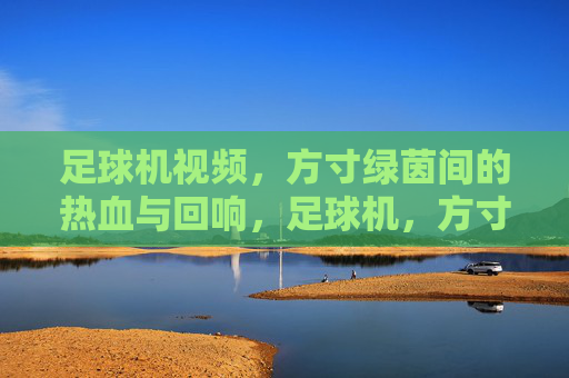 足球机视频，方寸绿茵间的热血与回响，足球机，方寸绿茵的热血回响