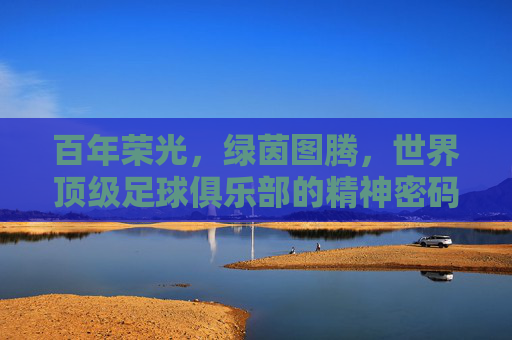 百年荣光，绿茵图腾，世界顶级足球俱乐部的精神密码，百年图腾，世界顶级足球俱乐部的精神密码