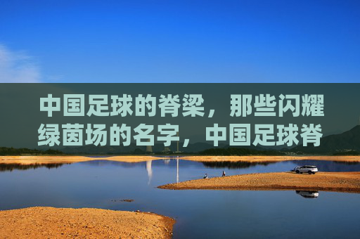 中国足球的脊梁，那些闪耀绿茵场的名字，中国足球脊梁，闪耀绿茵的名字