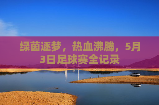 绿茵逐梦,热血沸腾,5月3日足球赛全记录