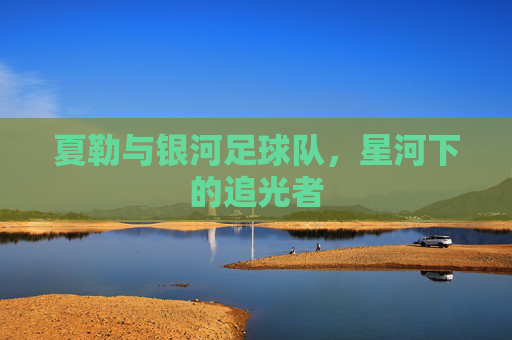 夏勒与银河足球队,星河下的追光者