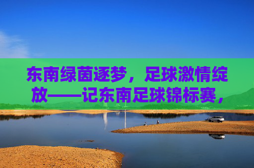 东南绿茵逐梦，足球激情绽放——记东南足球锦标赛，东南绿茵逐梦，足球锦标赛激情绽放