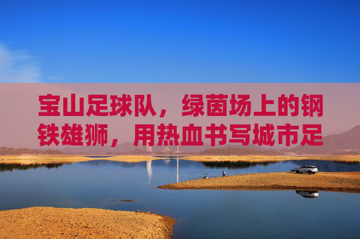 宝山足球队,绿茵场上的钢铁雄狮,用热血书写城市足球记忆,钢铁雄狮宝山足,热血铸就城市足球记忆