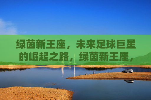 绿茵新王座,未来足球巨星的崛起之路,绿茵新王座,未来足球巨星的崛起之路