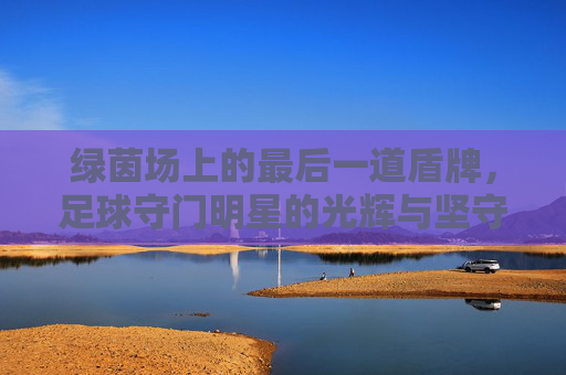 绿茵场上的最后一道盾牌,足球守门明星的光辉与坚守,绿茵盾牌,守门明星的光辉坚守